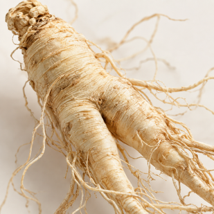 American Ginseng